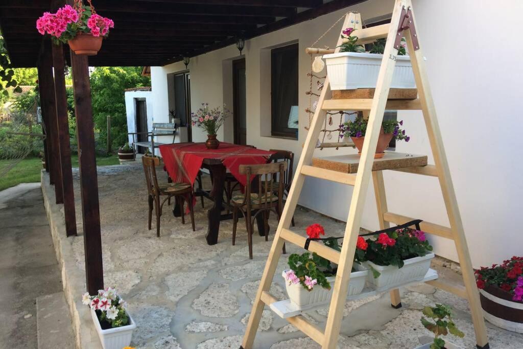 Guest House Kostadinovi Bŭlgarevo Exteriér fotografie